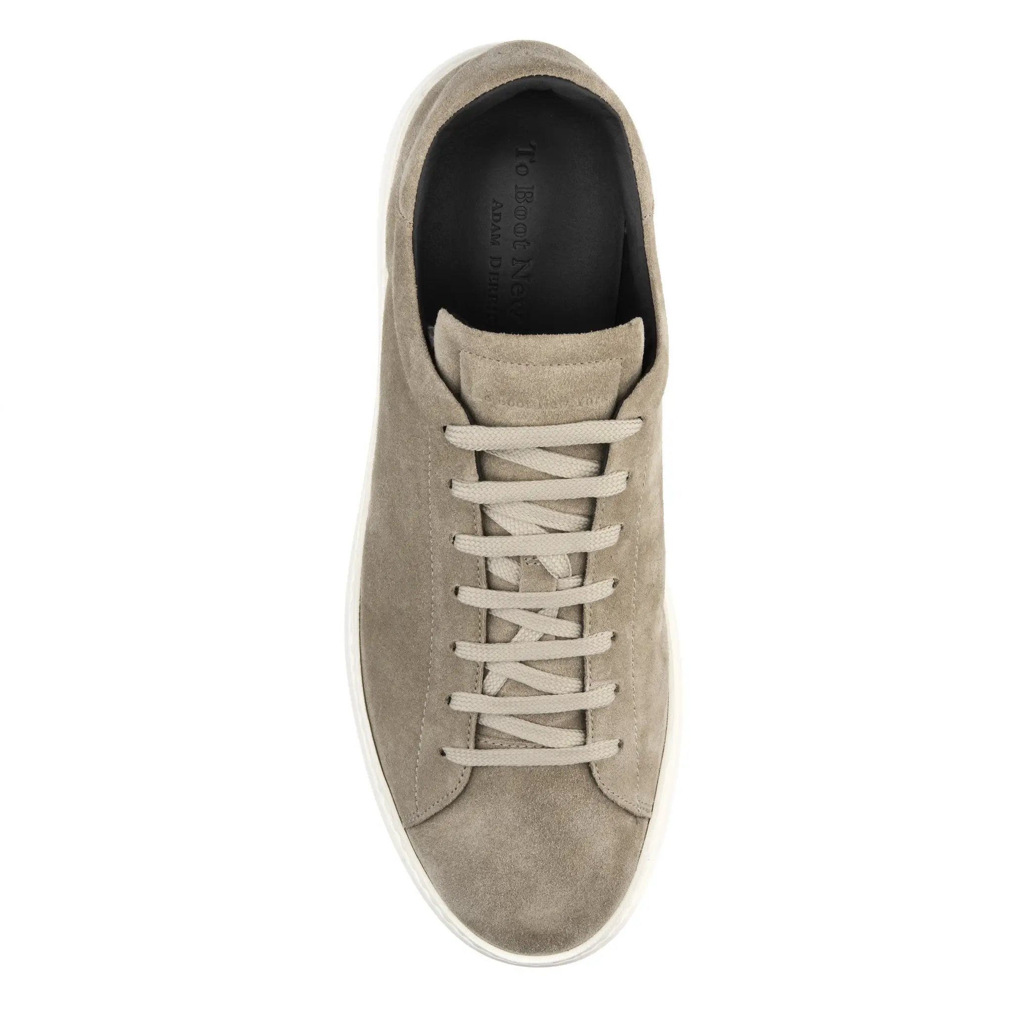 Buddy Taupe Suede Sneaker by To Boot New York